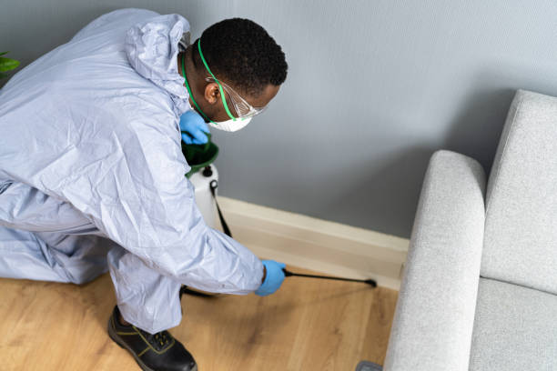 Best Termite Inspection and Treatment  in Ocean Grove, NJ